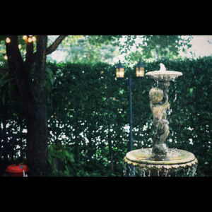 Thanachat Tullayachat Instagram - #TheTytyGarden #สวนสวยด้วยมือเรา