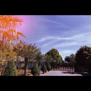 Thanachat Tullayachat Instagram - 🏡🌲☘️🌿