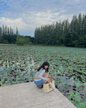 Thitiya Jirapornsilp Instagram - Mini trip🪷