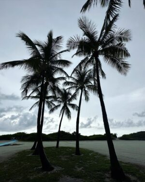 Tiji Jojo Instagram - MIAMI🌦️