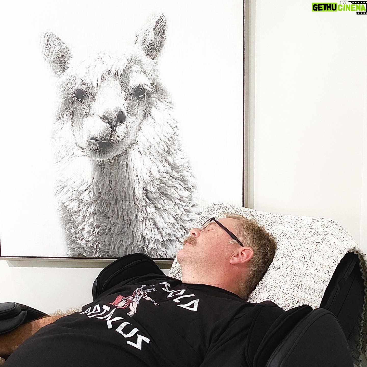 Tim Hooper - 2.7K Likes - Taking a Sunday nap with the 🦙. #sundayfunday #stayinghome #sleepybear