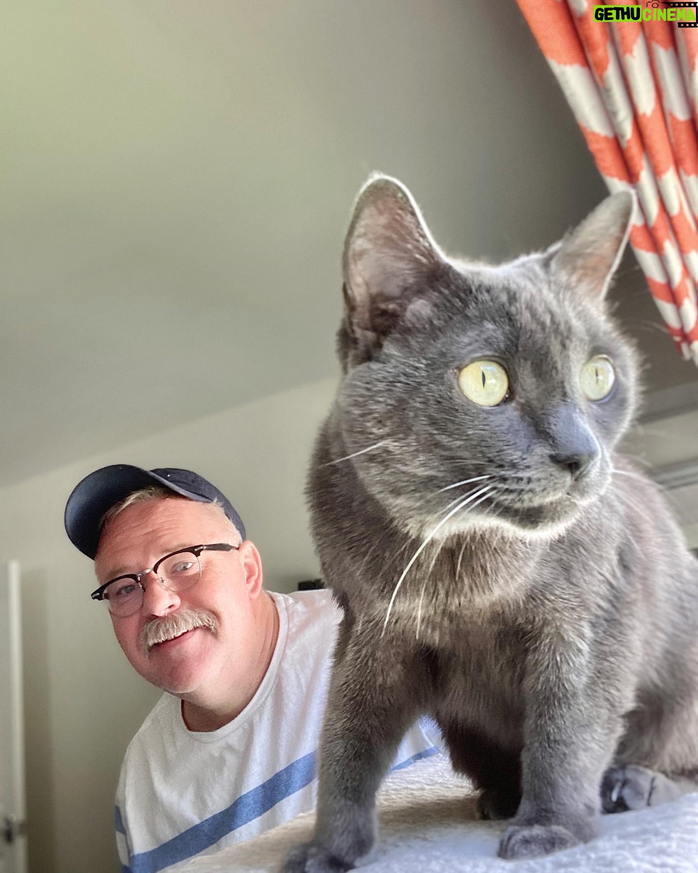 Tim Hooper - 3.2K Likes - When we’re not celebratin #internationalcatday, we’re chasin 🐿s.
Happy 😻 day!
If this 📷 had audio, all you’d hear is me ‘n Sister purrin up a storm.