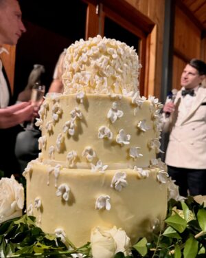 Tim Robards Instagram - What an amazing wedding!!! 🎉 
Congrats to my bro and sis in law @tynandiaz 🤵 and @missandreaheinrich 👰 #TheDiaz’s

Wearing @politixmenswear 🤵🏻‍♂️ Amazing silk/wool blend tux
Even more amazing cake 🎂 by my super Mum in law @judesfood1 
Exquisite setting @bendooleyestate