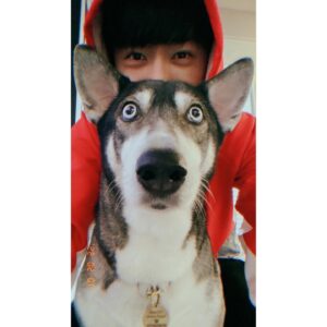 Toby Lee Instagram - 我與發發來拜年🐯祝大家新春快樂🧧愛老虎油❤️