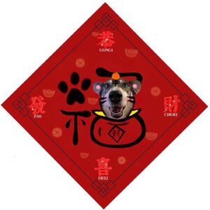 Toby Lee Instagram - 我與發發來拜年🐯祝大家新春快樂🧧愛老虎油❤️