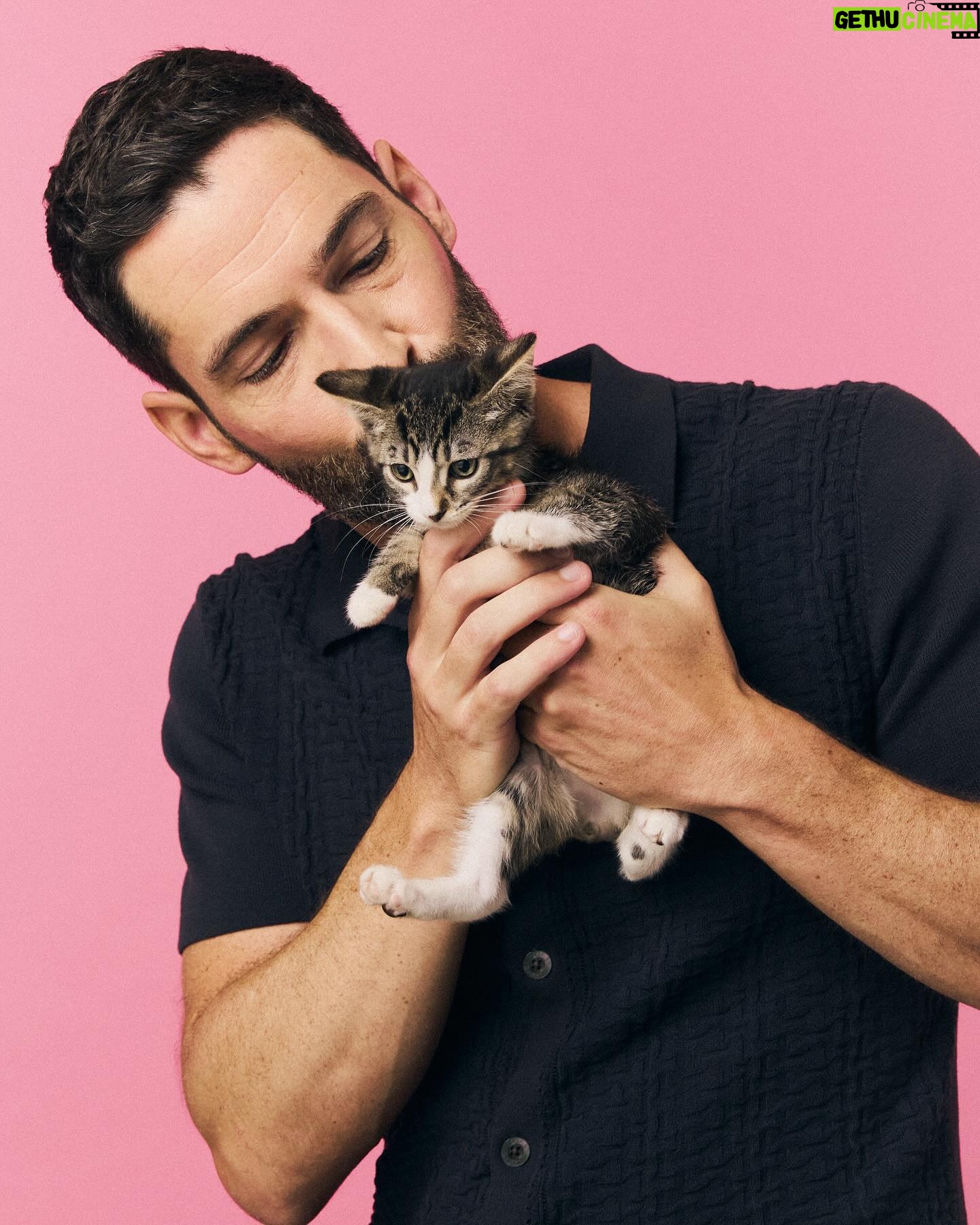 Tom Ellis - 605.8K Likes - Did a little interview with @buzzfeedceleb whilst playing with these gorgeous little things the other day. I’ll post a link in my stories. If you are interested in fostering or adopting these kittens or other equally adorable ones then go to @bestfriendsanimalsociety and give them a follow. Thanks also @bravocado._ for the pics ❤️🐱#kittens