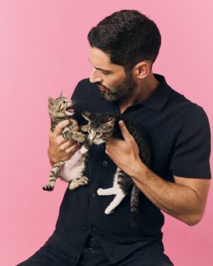 Tom Ellis Instagram - Did a little interview with @buzzfeedceleb whilst playing with these gorgeous little things the other day. I’ll post a link in my stories. If you are interested in fostering or adopting these kittens or other equally adorable ones then go to @bestfriendsanimalsociety and give them a follow. Thanks also @bravocado._ for the pics ❤️🐱#kittens