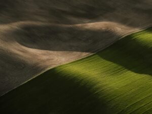 Tom Hegen Instagram - The Palouse Series

The rolling hills of the Palouse region, an area of the American northwest that spans over 3,000 miles. Endless green fields fill every inch of these frames. 

At a quick glance, the landscape looks likes the folds of moss-coloured fabric, but, on closer inspection, subtle whorls left by tractor trails reveal that humans have cultivated the land. The fertile soil is a result of ancient volcanic activity and erosion over thousands of years.