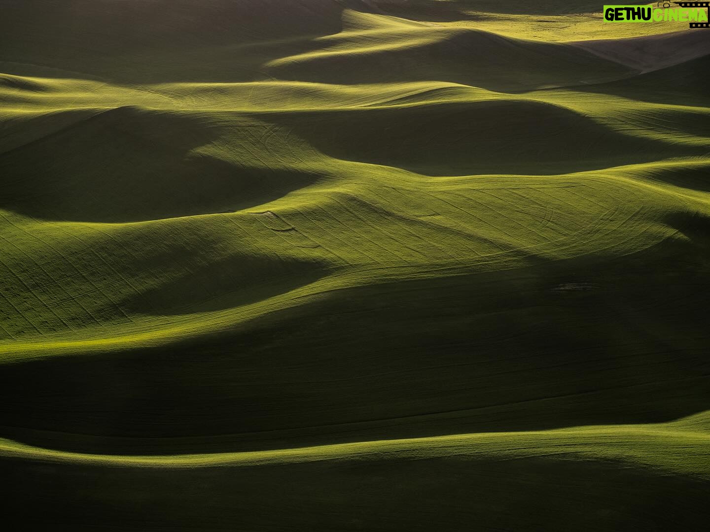 Tom Hegen - 746 Likes - The Palouse Series
The rolling hills of the Palouse region, an area of the American northwest that spans over 3,000 miles. Endless green fields fill every inch of these frames.
At a quick glance, the landscape looks likes the folds of moss-coloured fabric, but, on closer inspection, subtle whorls left by tractor trails reveal that humans have cultivated the land. The fertile soil is a result of ancient volcanic activity and erosion over thousands of years.