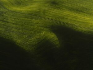 Tom Hegen Instagram - The Palouse Series, USA, 2021.