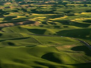 Tom Hegen Instagram - The Palouse Series featured in the current issue of @aestheticamag magazine.