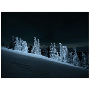 Tom Hegen Instagram - On this project, I worked with a flashlight mounted on a drone to illuminate the scene from above.

These trees are on top of a very exposed hill. During the winter season, they are completely covered in snow and ice. I wanted to show the mystic landscape in a unique light and experimented with a remote light source that was attached to a drone where I could take full control of the scene.