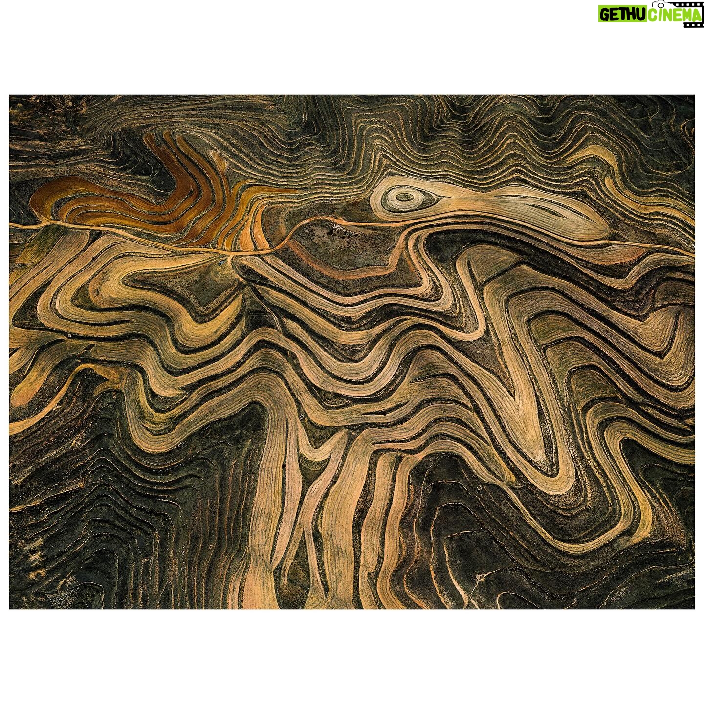 Tom Hegen - 800 Likes - In this aerial series, I explore the stunning landscape of agricultural fields in central Spain. Over centuries, Spanish farmers transformed the landscape into a patchwork of abstract art. They adapted to the rugged topography by carving tracks, fields and plantations into the terrain.
Even though the soil is quite fertile, cultivating the fields is challenging due to increasingly low rainfall and extreme heat. For that reason, the fields are organized in terraces to prevent rainwater from flowing off. Some fields are still cultivated, while others have been abandoned due to excessive labour and low yields.
Seen from the air, the landscape resembles a subtle arrangement of blood cells, ordered into a patterned carpet covering the surface.
I’m interested in finding the most abstract forms of human-altered landscapes—places where the transition from photography to painterly images is fluid. However, farmers on the ground are the actual designers of the images, supposedly with an economic rather than an artistic intention. I see myself as the observer, curating their work into artworks with a subtle eye.