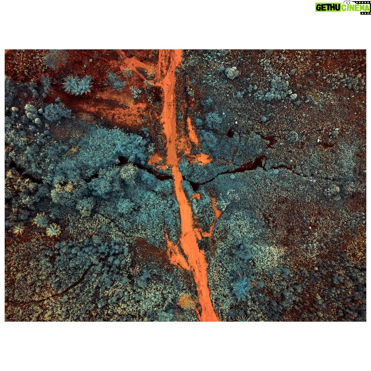 Tom Hegen - 0.9K Likes - Last year, I travelled to Borneo to document the effects of illegal gold mining on the environment of this fragile ecosystem. For that project, I used color infrared photography to capture an extended range of wavelengths that clearly separates vegetation from other elements.
In that way, the images reveal the impact of the mining operations in contrast to natural elements.