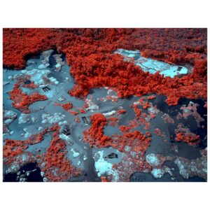 Tom Hegen Instagram - Today, I am releasing the second part of THE GOLD MINING SERIES and in a completely new approach!

Last year, I travelled to Borneo to document the effects of illegal gold mining on the environment of this fragile ecosystem. For that project, I used color infrared photography to capture an extended range of wavelengths that clearly separates vegetation from other elements. 

In that way, the images reveal the impact of the mining operations in contrast to natural elements.