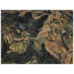 Tom Hegen Instagram - New Series release – The Spanish Farmland Series II 

In this aerial series, I explore the stunning landscape of agricultural fields in central Spain. Over centuries, Spanish farmers transformed the landscape into a patchwork of abstract art. They adapted to the rugged topography by carving tracks, fields and plantations into the terrain. 

Even though the soil is quite fertile, cultivating the fields is challenging due to increasingly low rainfall and extreme heat. For that reason, the fields are organized in terraces to prevent rainwater from flowing off. Some fields are still cultivated, while others have been abandoned due to excessive labour and low yields.

Seen from the air, the landscape resembles a subtle arrangement of blood cells, ordered into a patterned carpet covering the surface. 

I’m interested in finding the most abstract forms of human-altered landscapes—places where the transition from photography to painterly images is fluid. However, farmers on the ground are the actual designers of the images, supposedly with an economic rather than an artistic intention. I see myself as the observer, curating their work into artworks with a subtle eye.