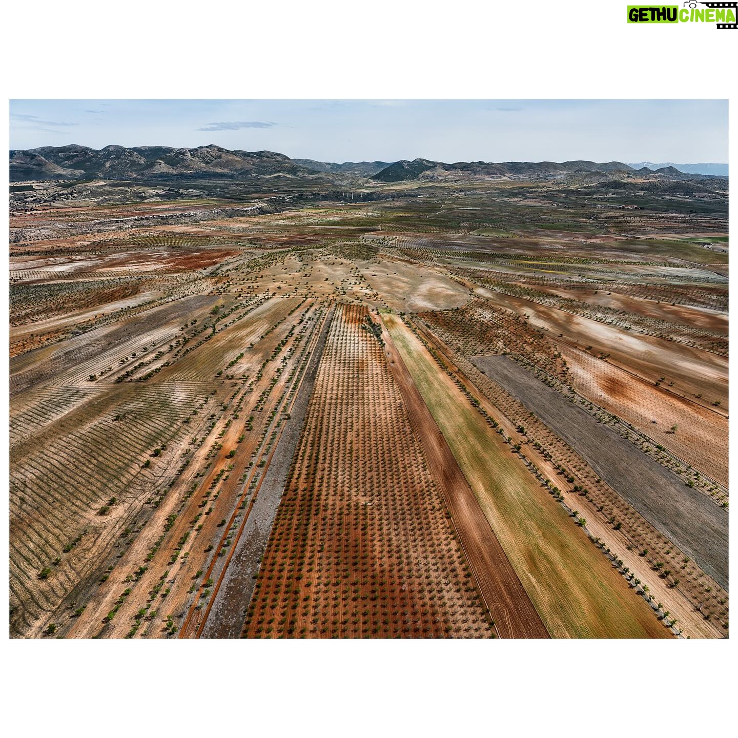 Tom Hegen - 858 Likes - New Series release – The Spanish Farmland Series II
In this aerial series, I explore the stunning landscape of agricultural fields in central Spain. Over centuries, Spanish farmers transformed the landscape into a patchwork of abstract art. They adapted to the rugged topography by carving tracks, fields and plantations into the terrain.
Even though the soil is quite fertile, cultivating the fields is challenging due to increasingly low rainfall and extreme heat. For that reason, the fields are organized in terraces to prevent rainwater from flowing off. Some fields are still cultivated, while others have been abandoned due to excessive labour and low yields.
Seen from the air, the landscape resembles a subtle arrangement of blood cells, ordered into a patterned carpet covering the surface.
I’m interested in finding the most abstract forms of human-altered landscapes—places where the transition from photography to painterly images is fluid. However, farmers on the ground are the actual designers of the images, supposedly with an economic rather than an artistic intention. I see myself as the observer, curating their work into artworks with a subtle eye.