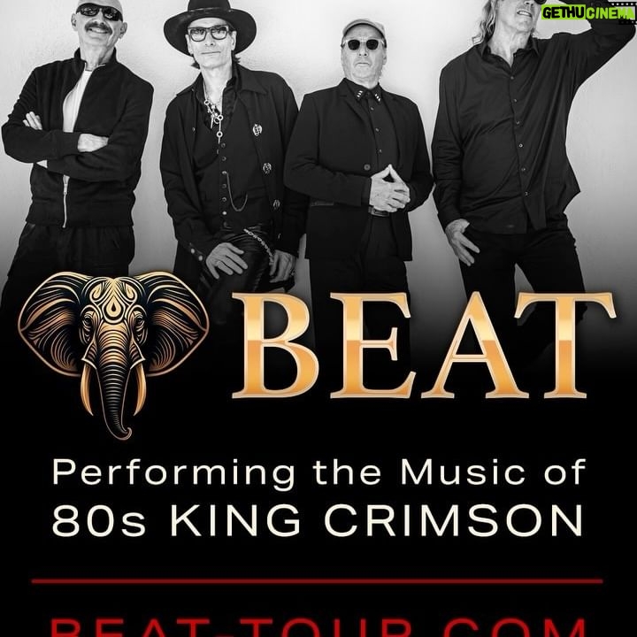 Tony Levin - 4.9K Likes - Here’s a little video of me talking about the upcoming Beat Tour, with some Elephant Talk trumpeting in the background!
#kingcrimson #beat #beattour