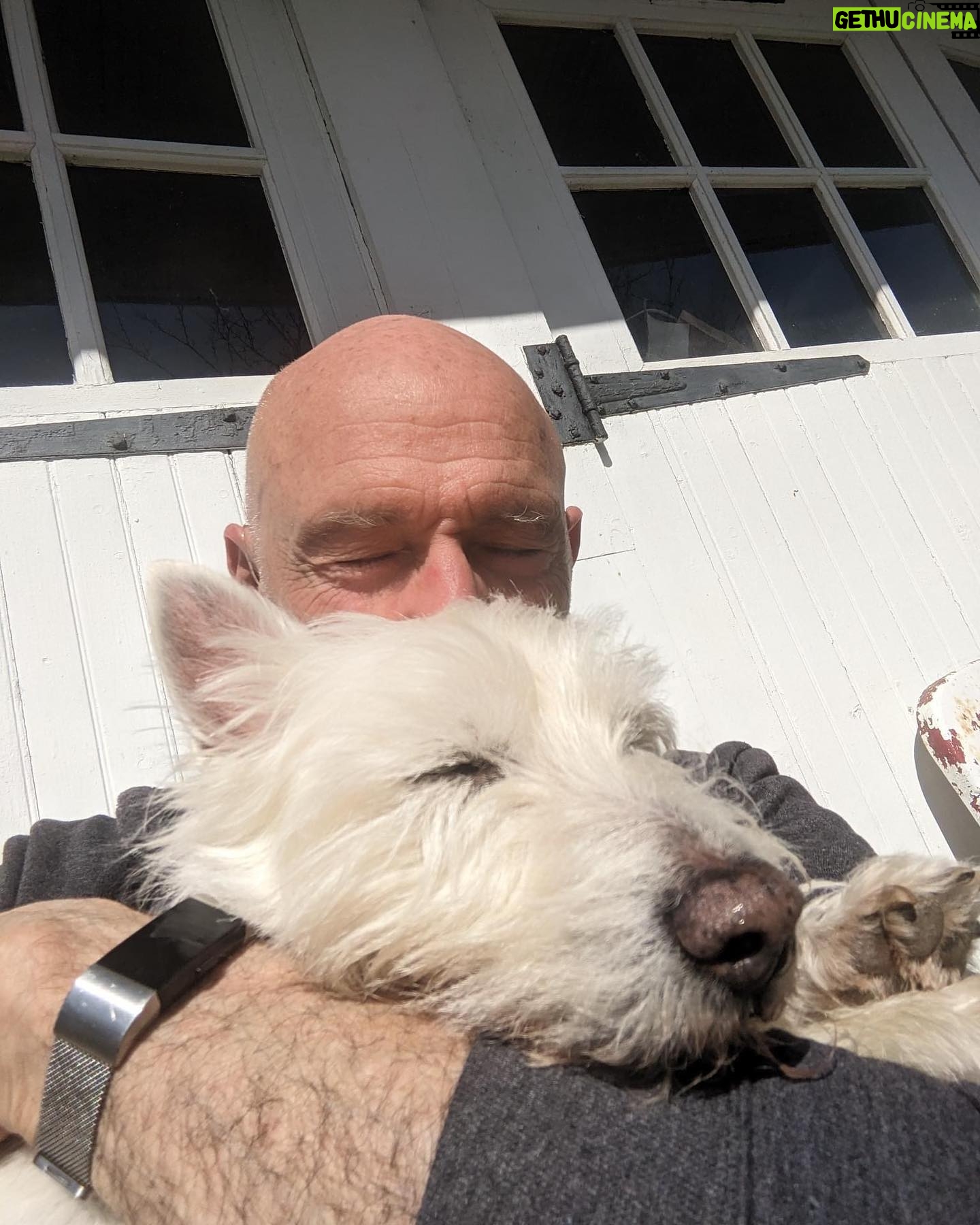 Tony Levin - 4.7K Likes - Good old Spencer and me, grabbing some quality time before I head out on the road.