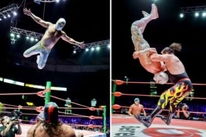 Travis Gordon Instagram - Grandes acciones se vivieron en el encuentro súper estelar del #MartesDeArenaMéxico donde @theflipgordon se adueñó del triunfo junto a Místico (@caristico_official) y @atlantis.jr ante Los Infernales (Averno, @euforia_cmll y @mephistocmll) 
📸 @elfotografodelasluchas 

#CMLL #LuchaLibre #LuchaLibreMexicana #Luchador #Wrestling #MexicanWrestling #follow #Averno #Mephisto #Euforia #FlipGordon #Atlantis #Mistico