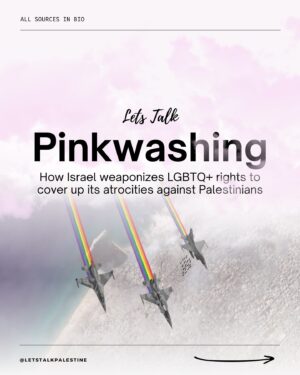 Tyler Oakley Instagram - This Pride month, you may have heard people raving about Tel Aviv’s “Pride Parade” or how you shouldn’t criticize Israel because they’re “progressive” on LGBTQ  issues.

Send this to someone you know who still thinks this way

Thank you to @tyleroakley @nooraldayeh @officialjakegyllenhalal @kimsaira for collaborating with us on this and amplifying it to educate more people ✨🇵🇸🏳️‍🌈

CORRECTION: As of December 2023, Israeli gay couples have equal rights to adopt. We apologize for the outdated information on Slide 8.

#palestine #freepalestine #gaza #savegaza #israel #telaviv #telavivpride #pride #pridemonth #gay #queer #activism #news #politics #history #genderfluid #lgbt #lgbtq