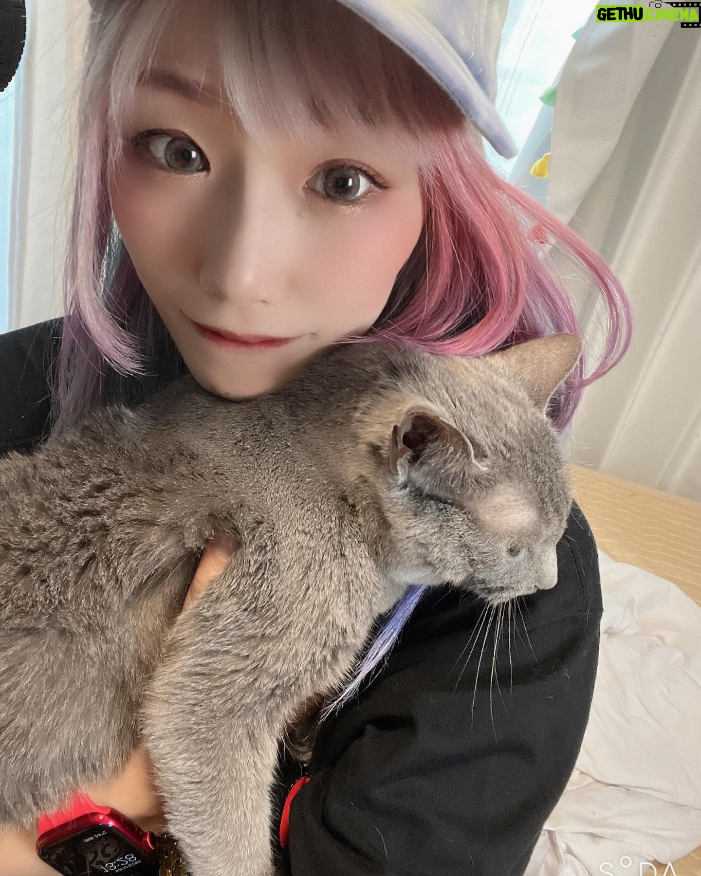 Unagi Sayaka - 4.1K Likes - ドレミ17歳になったよぉ
#ロシアンブルー