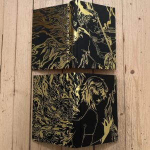 V. E. Schwab Instagram - Absolutely speechless.
Just received my copies of @illumicrate’s Monsters of Verity and it might be the prettiest thing I’ve ever seen.

With cover art by @coreybrickleyillustration, endpaper illustrations by @lenyan.art, and case design by @catrina_paints. I feel so incredibly lucky.