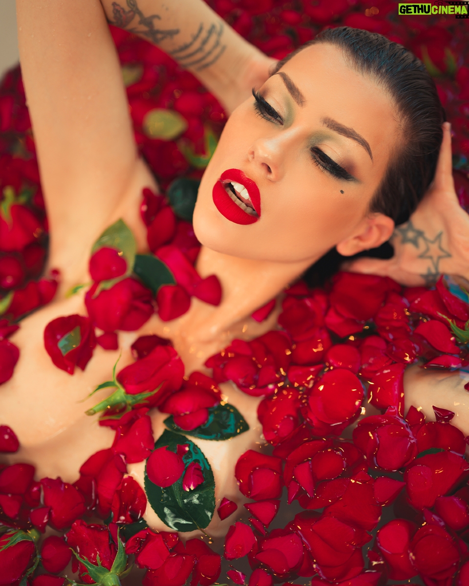 Vera Bambi - 4.8K Likes - Red