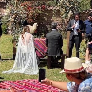 Verónica Álvarez Instagram - Este fin de semana ha sido una película de principio a fin. Gracias por hacernos parte del mejor día de sus vidas! Los queremos MUCHO!!
Que vivan los novios (ahora esposos)!!!!!!!