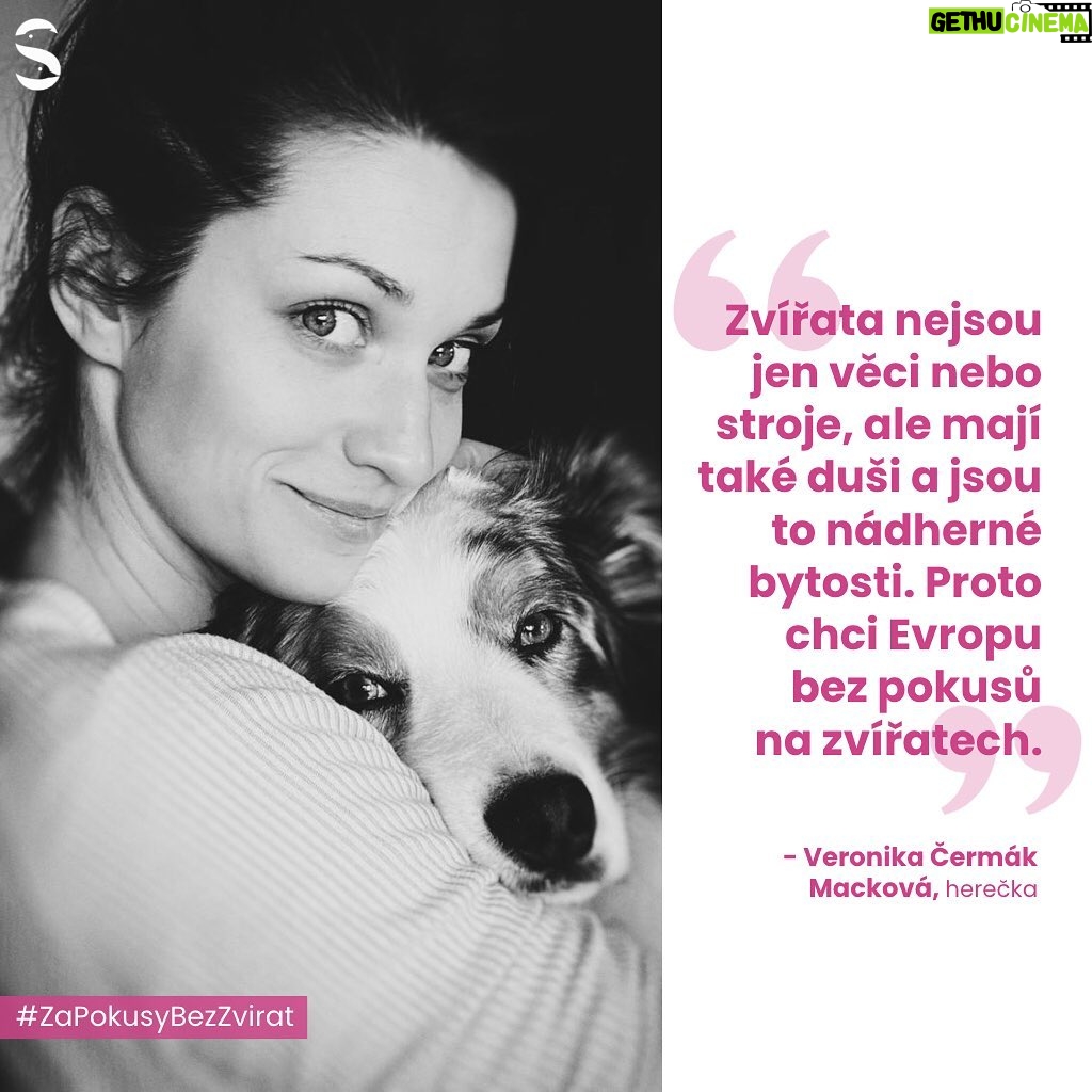 Veronika Macková - 2.8K Likes - „Jsem ráda, že se témata práv zvířat v posledních letech čím dál víc otevírají a lidé si uvědomují, že zvířata nejsou jen věci nebo stroje, ale mají taky duši a jsou to nádherné bytosti. Postavte se za zvířata z laboratoří i Vy a podepište www.ZaPokusyBezZvirat.cz.” - @veronikacermakmackova 🙌💕
Souhlasíte, že by se zvířata neměla využívat jako věci nebo stroje? Přidejte se k iniciativě 👉www.ZaPokusyBezZvirat.cz (link v bio) taky! 🌍🐾
#ZaPokusyBezZvirat #SvobodaZvirat #endanimaltesting #VeronikaCermak #crueltyfree #animaltestingalternatives #animaltestingban #animaltestingcruelty #animaltestingendsnow #animaltestingequalsmoney #animaltestingfriendly #animaltestinghurts