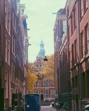 Vijay Varma Instagram - 🇳🇱