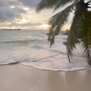 Volkan Oezdemir Instagram - 🇸🇨🏝️