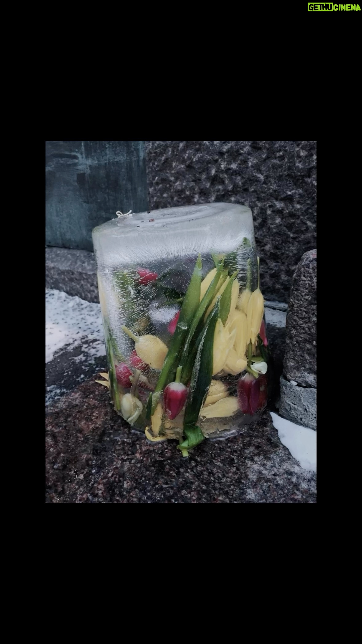 Waa Wei - 20.8K Likes - 很盡情的失控了,但並不覺得特別的離譜,至少那個當下很美也很好。
/
粵語發音我真的很沒把握,很謝謝你們喜歡聽我唱歌。這裡只能放一分半的版本,完整版我放youtube。
/
再一次謝謝Kiri借我唱,很開心認識你!下次再一起玩~