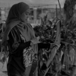 Wan Sharmila
