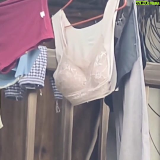 Wego - 192 Likes - 颱風天有人奶罩要飛走了嗎?