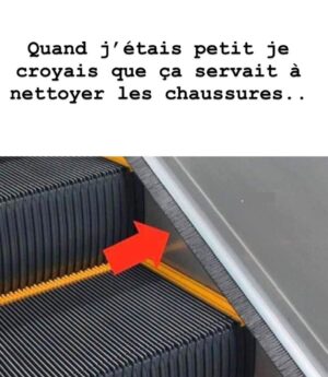 Wesley Kams Instagram - Dites moi que je suis là le seul à y avoir pensé 😭