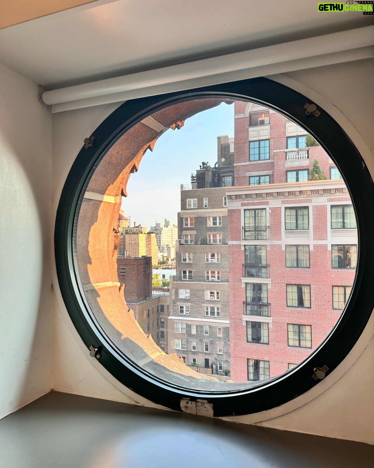 Will Buie Jr. - 9.6K Likes - NYC 👋🎬🐿️😎