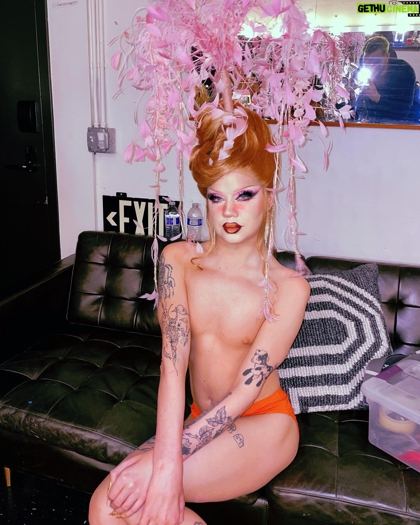 Willow Pill - 193.8K Likes - A Willow Tree come to life! This is an outfit I’ve dreamed of since I began drag and knew it’s how I wanted to end my reign. May you all take shelter under me, being queer and free forever. 🌿
I’m also so excited to have a new T-shirt designed by the talented @girthofvenus available in my store! Link in bio 🌸
Outfit and hair by @joshuanapontedesigns
Nails by @nailedbyjoseph
Photo by @dragfiles
