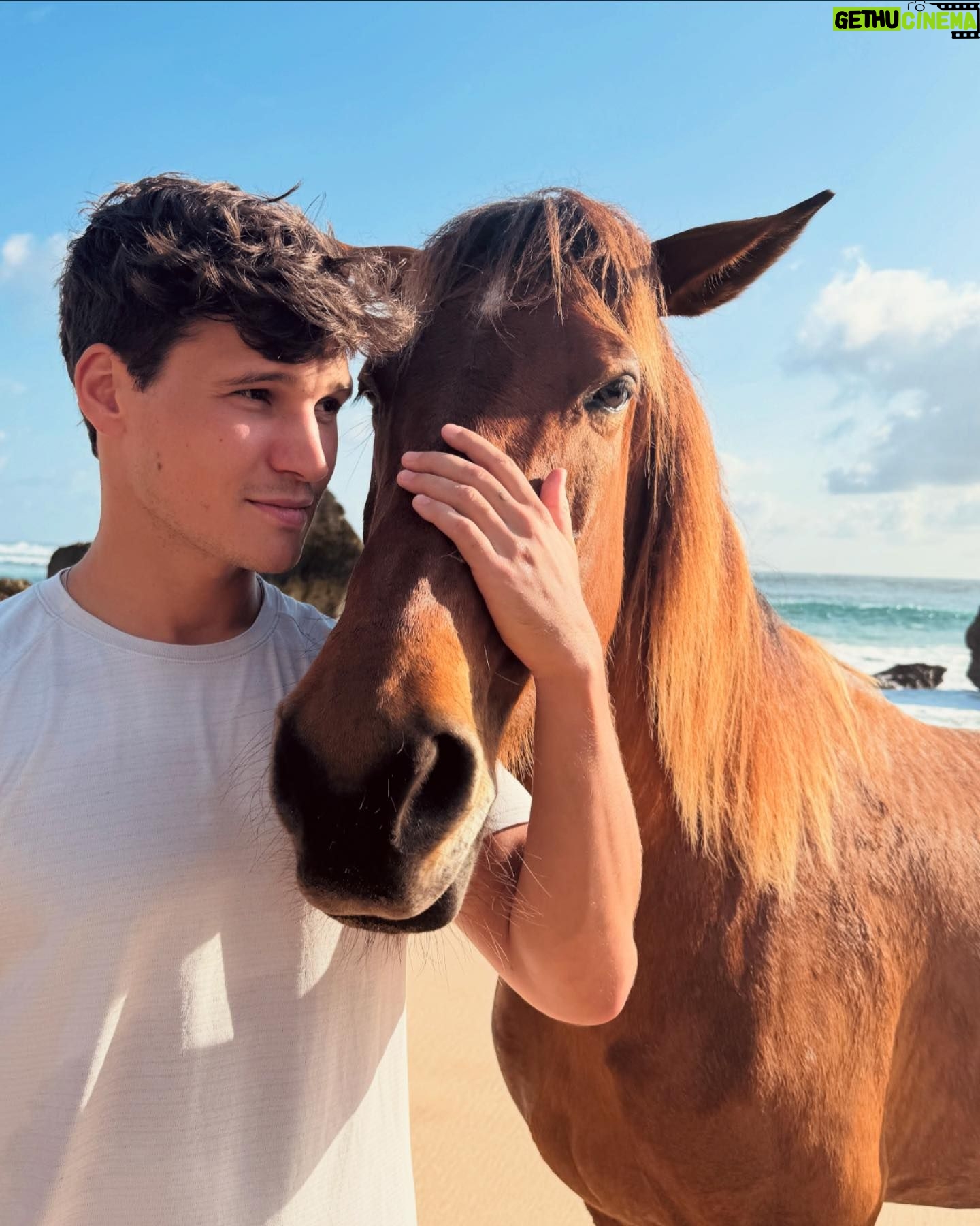 Wincent Weiss - 109.6K Likes - Ich glaube ich habe neue Hobbys für mich entdeckt 😀🧡.
#ichglaubichbraucheinpferd #undsurfwellen #einewochepause