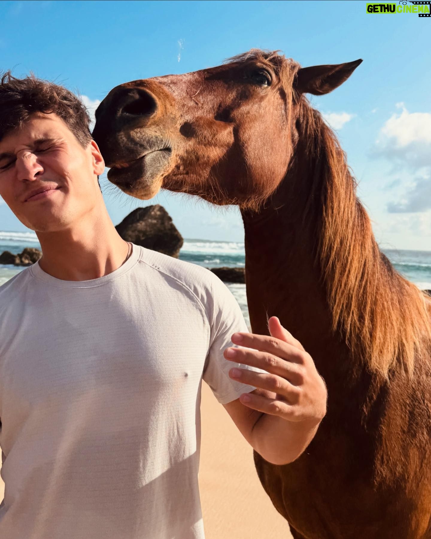 Wincent Weiss - 109.6K Likes - Ich glaube ich habe neue Hobbys für mich entdeckt 😀🧡.
#ichglaubichbraucheinpferd #undsurfwellen #einewochepause