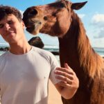 Wincent Weiss