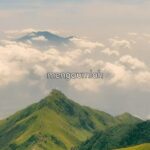 Wira Nagara