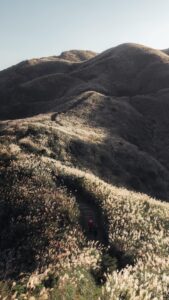 Wu Duke Top 100 Instagram Photos and Posts