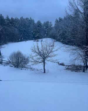 Xander Berkeley Instagram - Driving in a Winter Wonderland out to the farm 🌲❤️