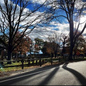 Xander Berkeley Instagram - The shock of autumn on any given afternoon , as the light breaks through an otherwise gloomy day… still hits me hard (even being back east for  five full falls now:)