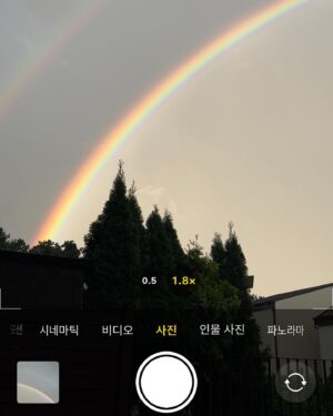 YENA Instagram - 여름 한조각🌿🫧