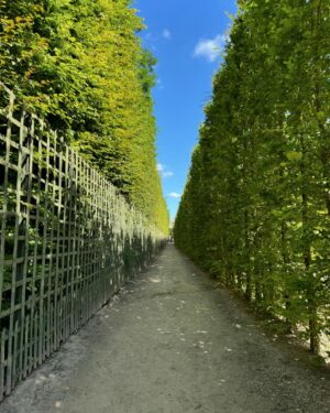 Yan-Pei Su Instagram - #凡爾賽宮 #chateaudeversailles

#法國 #巴黎 #自由旅行
#paris #france