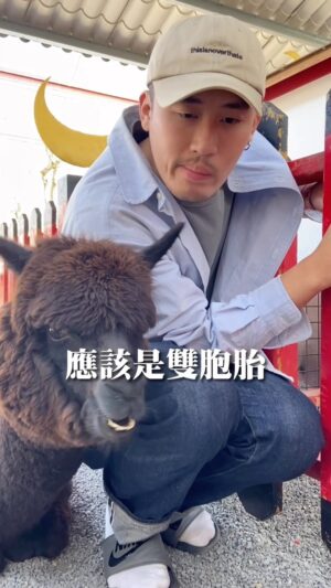 Yang Chang Instagram - 分手沒什麼，大不了再分一次就好
*本文摘句：氣到都變黑了