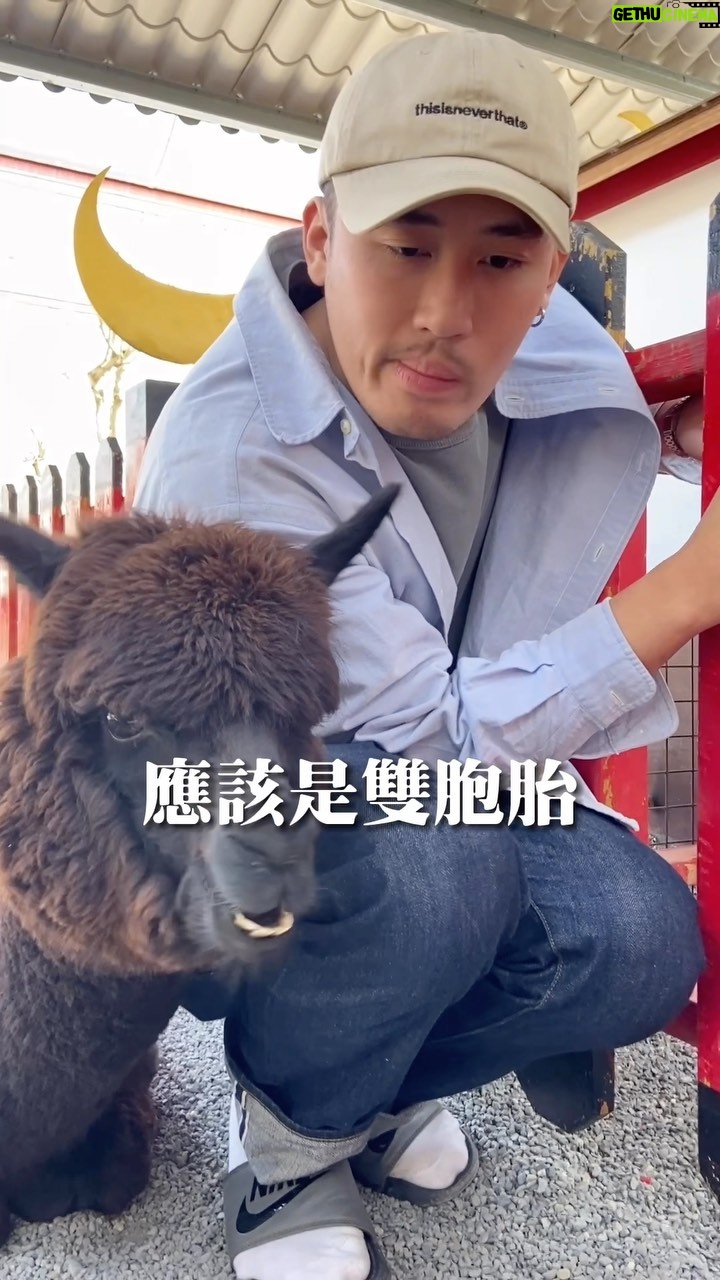 Yang Chang - 3.3K Likes - 分手沒什麼,大不了再分一次就好
*本文摘句:氣到都變黑了