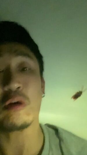 Yang Chang Instagram - 雜亂無蟑